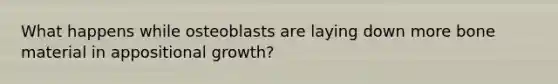 What happens while osteoblasts are laying down more bone material in appositional growth?