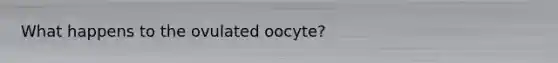 What happens to the ovulated oocyte?