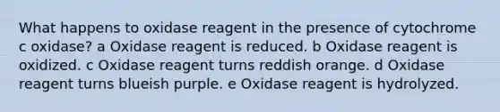 What happens to oxidase reagent in the presence of cytochrome c oxidase? a Oxidase reagent is reduced. b Oxidase reagent is oxidized. c Oxidase reagent turns reddish orange. d Oxidase reagent turns blueish purple. e Oxidase reagent is hydrolyzed.