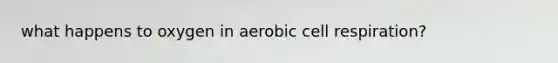 what happens to oxygen in aerobic cell respiration?