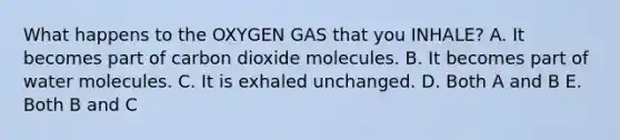 What happens to the OXYGEN GAS that you INHALE? A. It becomes part of carbon dioxide molecules. B. It becomes part of water molecules. C. It is exhaled unchanged. D. Both A and B E. Both B and C