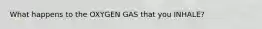 What happens to the OXYGEN GAS that you INHALE?