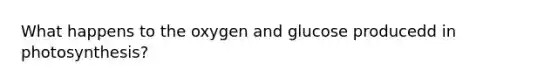 What happens to the oxygen and glucose producedd in photosynthesis?