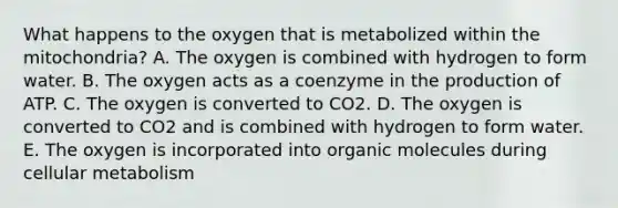 What happens to the oxygen that is metabolized within the mitochondria? A. The oxygen is combined with hydrogen to form water. B. The oxygen acts as a coenzyme in the production of ATP. C. The oxygen is converted to CO2. D. The oxygen is converted to CO2 and is combined with hydrogen to form water. E. The oxygen is incorporated into <a href='https://www.questionai.com/knowledge/kjUwUacPFG-organic-molecules' class='anchor-knowledge'>organic molecules</a> during cellular metabolism