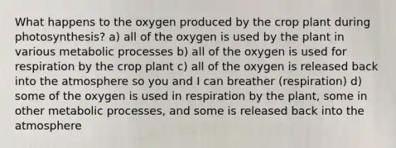 What happens to the oxygen produced by the crop plant during photosynthesis? a) all of the oxygen is used by the plant in various metabolic processes b) all of the oxygen is used for respiration by the crop plant c) all of the oxygen is released back into the atmosphere so you and I can breather (respiration) d) some of the oxygen is used in respiration by the plant, some in other metabolic processes, and some is released back into the atmosphere