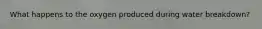 What happens to the oxygen produced during water breakdown?