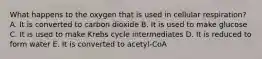 What happens to the oxygen that is used in cellular respiration? A. It is converted to carbon dioxide B. It is used to make glucose C. It is used to make Krebs cycle intermediates D. It is reduced to form water E. It is converted to acetyl-CoA