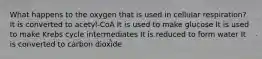 What happens to the oxygen that is used in cellular respiration? It is converted to acetyl-CoA It is used to make glucose It is used to make Krebs cycle intermediates It is reduced to form water It is converted to carbon dioxide