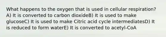 What happens to the oxygen that is used in cellular respiration?A) It is converted to carbon dioxideB) It is used to make glucoseC) It is used to make Citric acid cycle intermediatesD) It is reduced to form waterE) It is converted to acetyl-CoA