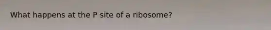 What happens at the P site of a ribosome?