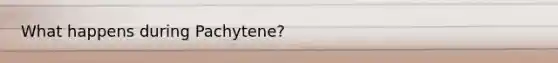 What happens during Pachytene?