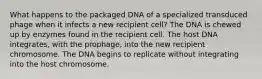 What happens to the packaged DNA of a specialized transduced phage when it infects a new recipient cell? The DNA is chewed up by enzymes found in the recipient cell. The host DNA integrates, with the prophage, into the new recipient chromosome. The DNA begins to replicate without integrating into the host chromosome.