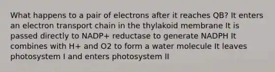 What happens to a pair of electrons after it reaches QB? It enters an electron transport chain in the thylakoid membrane It is passed directly to NADP+ reductase to generate NADPH It combines with H+ and O2 to form a water molecule It leaves photosystem I and enters photosystem II