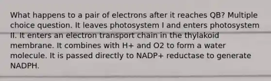 What happens to a pair of electrons after it reaches QB? Multiple choice question. It leaves photosystem I and enters photosystem II. It enters an electron transport chain in the thylakoid membrane. It combines with H+ and O2 to form a water molecule. It is passed directly to NADP+ reductase to generate NADPH.