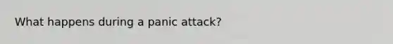 What happens during a panic attack?