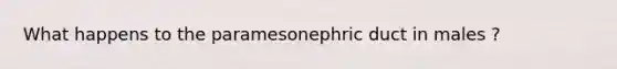 What happens to the paramesonephric duct in males ?