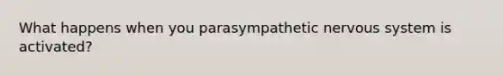 What happens when you parasympathetic nervous system is activated?