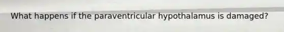 What happens if the paraventricular hypothalamus is damaged?