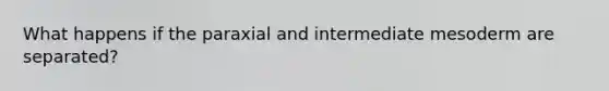 What happens if the paraxial and intermediate mesoderm are separated?