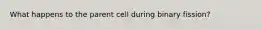 What happens to the parent cell during binary fission?