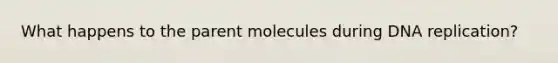 What happens to the parent molecules during <a href='https://www.questionai.com/knowledge/kofV2VQU2J-dna-replication' class='anchor-knowledge'>dna replication</a>?