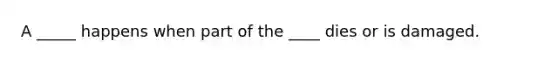 A _____ happens when part of the ____ dies or is damaged.