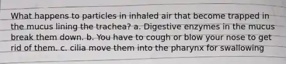 What happens to particles in inhaled air that become trapped in the mucus lining the trachea? a. Digestive enzymes in the mucus break them down. b. You have to cough or blow your nose to get rid of them. c. cilia move them into the pharynx for swallowing