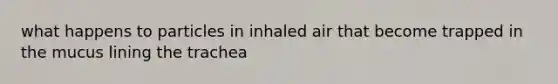 what happens to particles in inhaled air that become trapped in the mucus lining the trachea