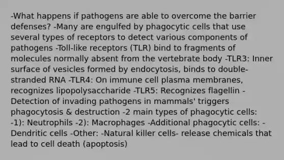 -What happens if pathogens are able to overcome the barrier defenses? -Many are engulfed by phagocytic cells that use several types of receptors to detect various components of pathogens -Toll-like receptors (TLR) bind to fragments of molecules normally absent from the vertebrate body -TLR3: Inner surface of vesicles formed by endocytosis, binds to double-stranded RNA -TLR4: On immune cell plasma membranes, recognizes lipopolysaccharide -TLR5: Recognizes flagellin -Detection of invading pathogens in mammals' triggers phagocytosis & destruction -2 main types of phagocytic cells: -1): Neutrophils -2): Macrophages -Additional phagocytic cells: -Dendritic cells -Other: -Natural killer cells- release chemicals that lead to cell death (apoptosis)