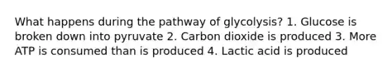 What happens during the pathway of glycolysis? 1. Glucose is broken down into pyruvate 2. Carbon dioxide is produced 3. More ATP is consumed than is produced 4. Lactic acid is produced