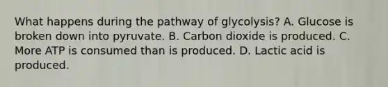 What happens during the pathway of glycolysis? A. Glucose is broken down into pyruvate. B. Carbon dioxide is produced. C. More ATP is consumed than is produced. D. Lactic acid is produced.