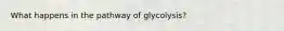 What happens in the pathway of glycolysis?