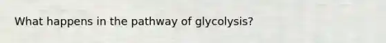 What happens in the pathway of glycolysis?