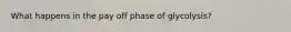 What happens in the pay off phase of glycolysis?