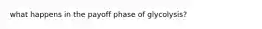 what happens in the payoff phase of glycolysis?