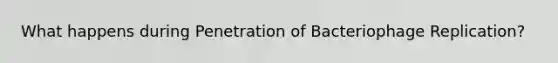 What happens during Penetration of Bacteriophage Replication?