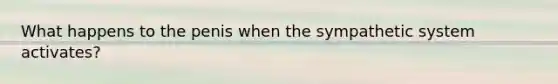 What happens to the penis when the sympathetic system activates?