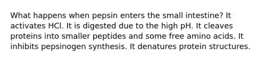 What happens when pepsin enters the small intestine? It activates HCl. It is digested due to the high pH. It cleaves proteins into smaller peptides and some free amino acids. It inhibits pepsinogen synthesis. It denatures protein structures.