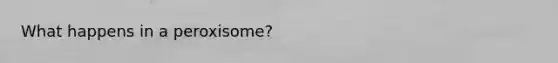 What happens in a peroxisome?