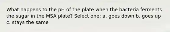 What happens to the pH of the plate when the bacteria ferments the sugar in the MSA plate? Select one: a. goes down b. goes up c. stays the same