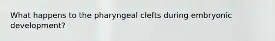 What happens to the pharyngeal clefts during embryonic development?