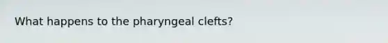 What happens to the pharyngeal clefts?