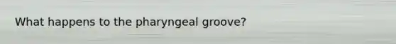 What happens to the pharyngeal groove?