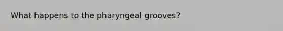 What happens to the pharyngeal grooves?