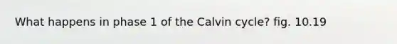 What happens in phase 1 of the Calvin cycle? fig. 10.19