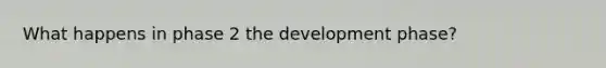 What happens in phase 2 the development phase?