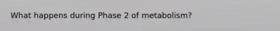 What happens during Phase 2 of metabolism?