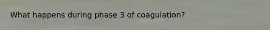 What happens during phase 3 of coagulation?