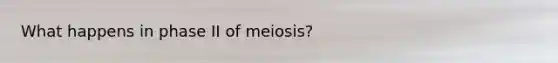 What happens in phase II of meiosis?