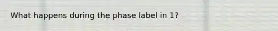 What happens during the phase label in 1?